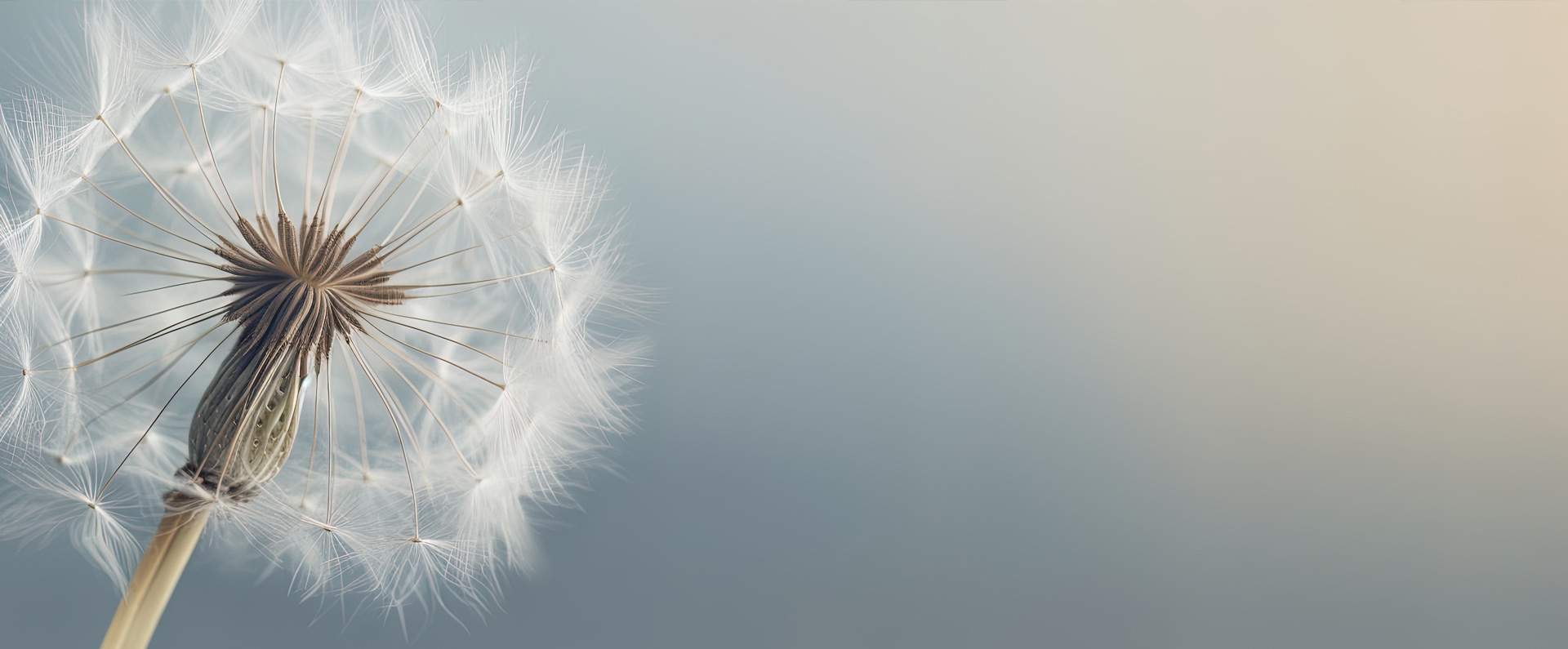 Trauerfeier im Sport + Seminarcenter Radevormwald